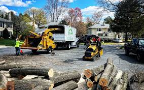 Best Lawn Edging  in Hewlett, NY